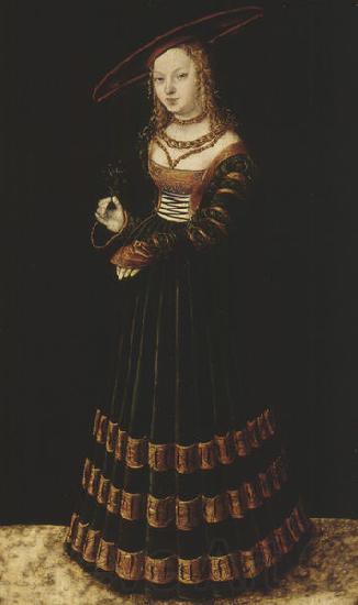 Lucas Cranach the Elder Portrait of a girl with forget-me-nots.